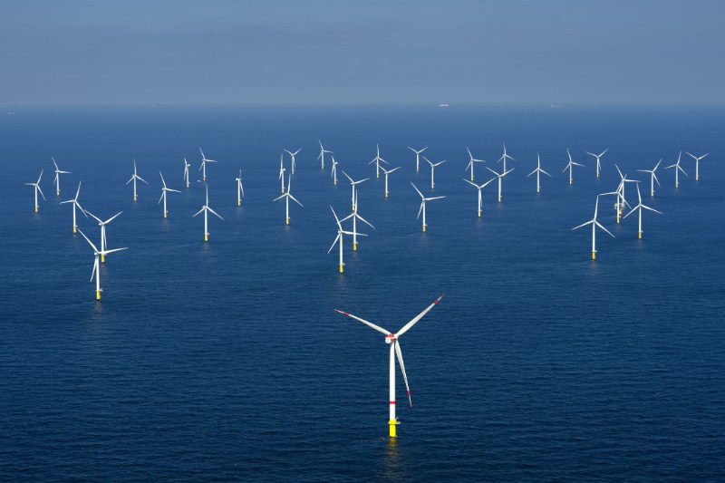 triton knoll wind farm in the sea